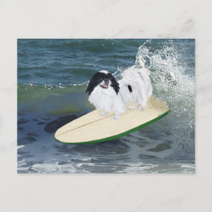 Japanese Chin Surfing Postcard