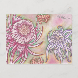 Japanese Chrysanthemums Postcard