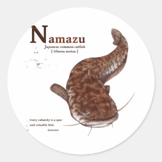 Japanese common catfish - chocolate classic round sticker