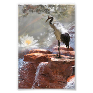 Japanese Crane “Longevity” Photo Print