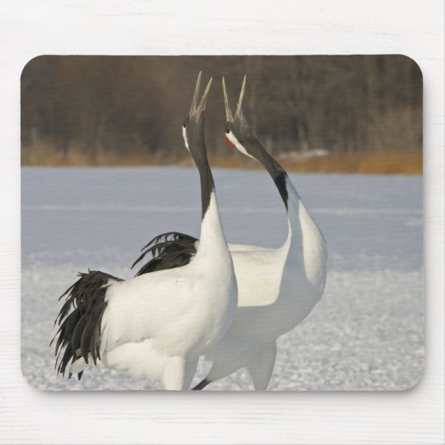 Japanese Cranes dancing on snow Mouse Pad (Front)