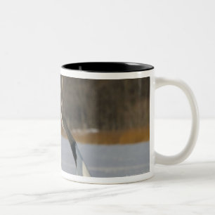 Japanese Cranes dancing on snow Two-Tone Coffee Mug