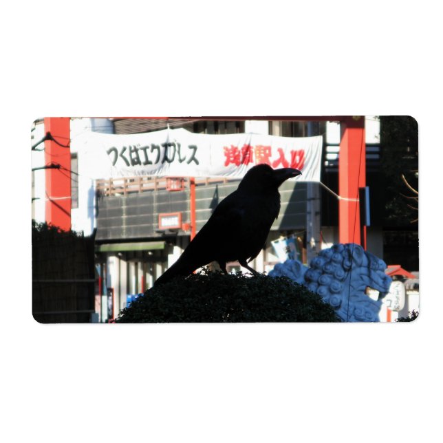 Japanese Crow (Front)