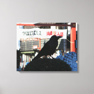 Japanese Crow Canvas Print