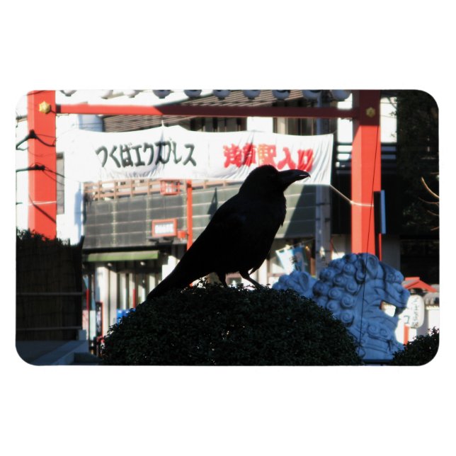 Japanese Crow Magnet (Horizontal)