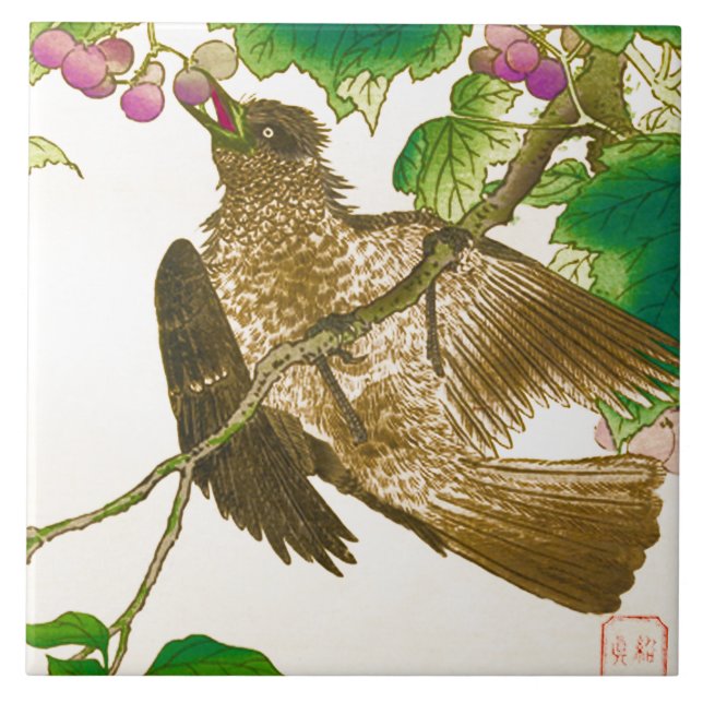 Japanese Drawing of Jay on a Grape Vine Ceramic Tile (Front)