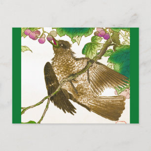 Japanese Drawing of Jay on a Grape Vine Postcard