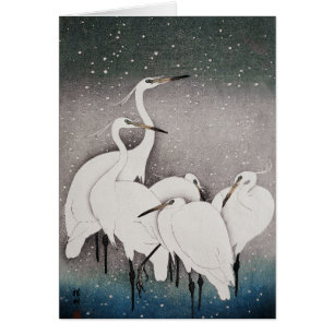 Japanese Egrets Koson Cranes Winter Snow