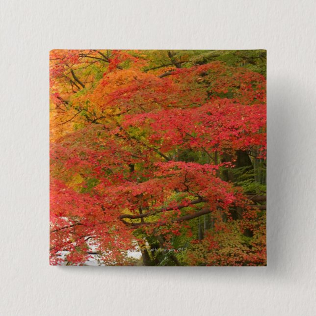 Japanese Fall Foliage 15 Cm Square Badge (Front)