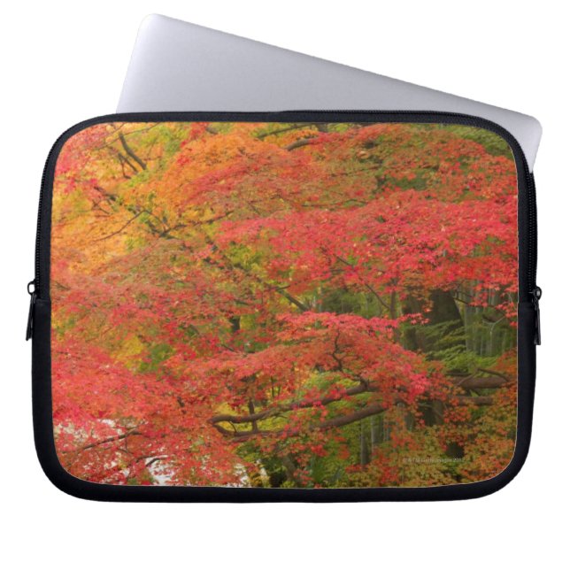 Japanese Fall Foliage Laptop Sleeve (Front)