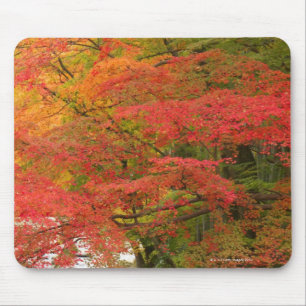 Japanese Fall Foliage Mouse Pad