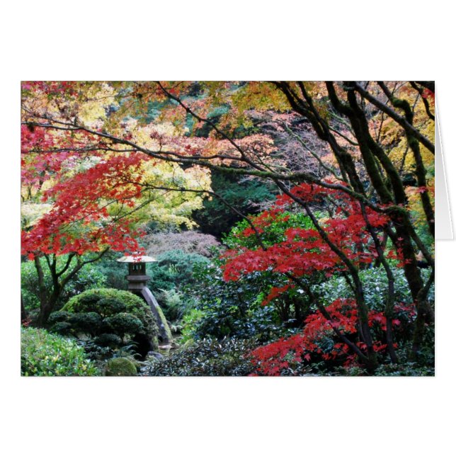 Japanese Garden (Front Horizontal)