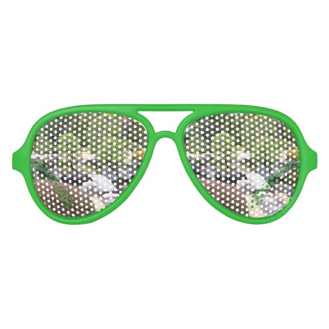 Japanese Garden 日本庭園 Aviator Sunglasses (Front)