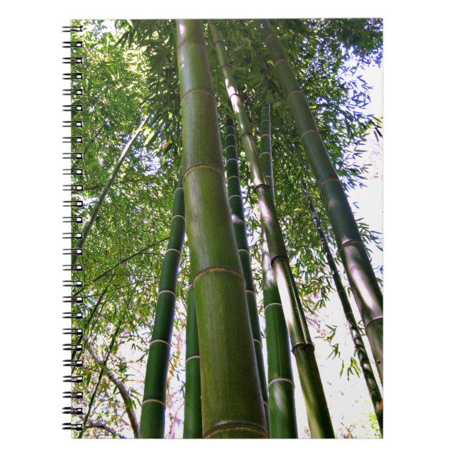 Japanese Garden Bamboo Forest Note Book (Front)