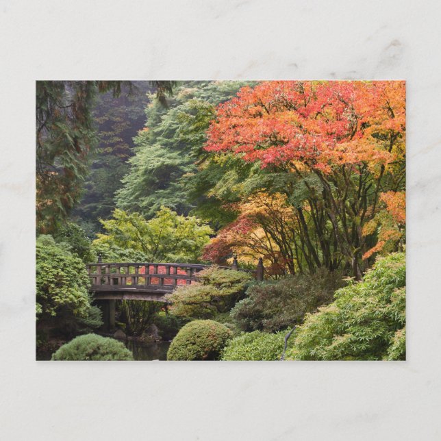 Japanese Garden in Autumn Postcard (Front)