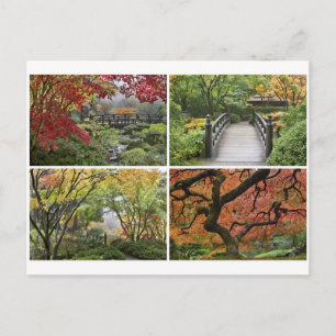 Japanese Garden in Colourful Autumn Season Postcard