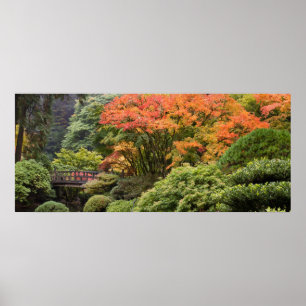 Japanese Garden in Fall Poster