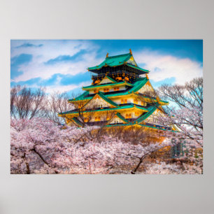 Japanese Garden Pagoda And Sakura In Osaka, Japan Poster