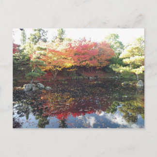 Japanese Gardens, Hamilton, NZ Postcard