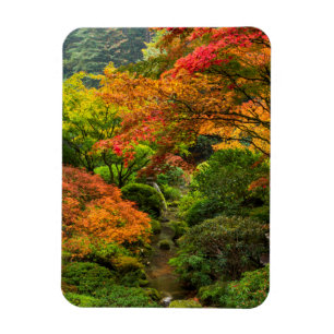 Japanese Gardens In Autumn In Portland, Oregon 2 Magnet