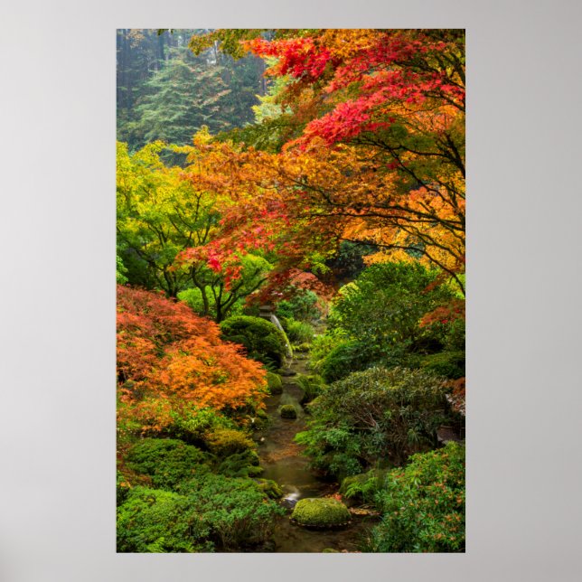 Japanese Gardens In Autumn In Portland, Oregon 2 Poster (Front)