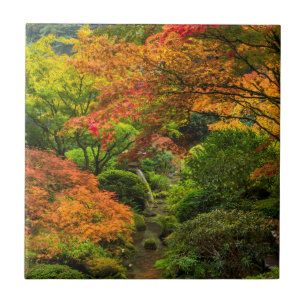 Japanese Gardens In Autumn In Portland, Oregon 2 Tile