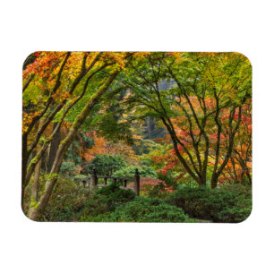 Japanese Gardens In Autumn In Portland, Oregon 4 Magnet