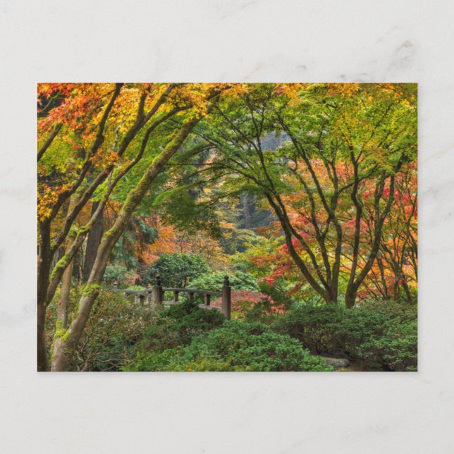 Japanese Gardens In Autumn In Portland, Oregon 4 Postcard (Front)