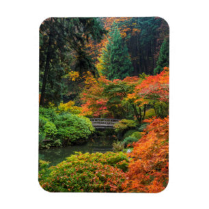 Japanese Gardens In Autumn In Portland, Oregon 5 Magnet