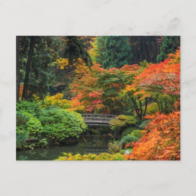 Japanese Gardens In Autumn In Portland, Oregon 5 Postcard (Front)