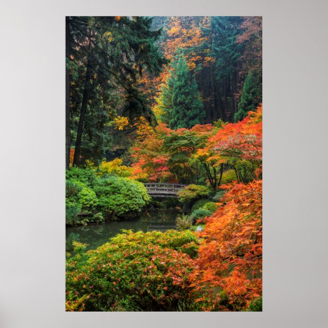 Japanese Gardens In Autumn In Portland, Oregon 5 Poster (Front)