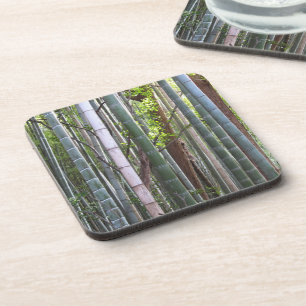 Japanese Giant Bamboo Forest, Sagano, Kyoto, Japan Coaster