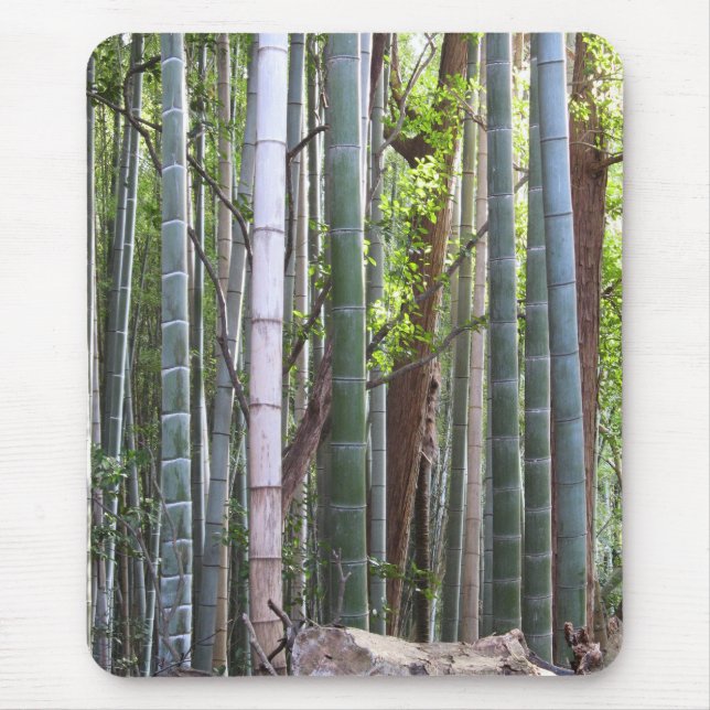 Japanese Giant Bamboo Forest, Sagano, Kyoto, Japan Mouse Pad (Front)