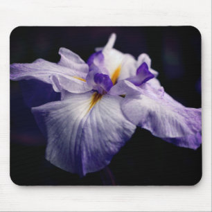 Japanese Iris Beauty Flower Mouse Pad