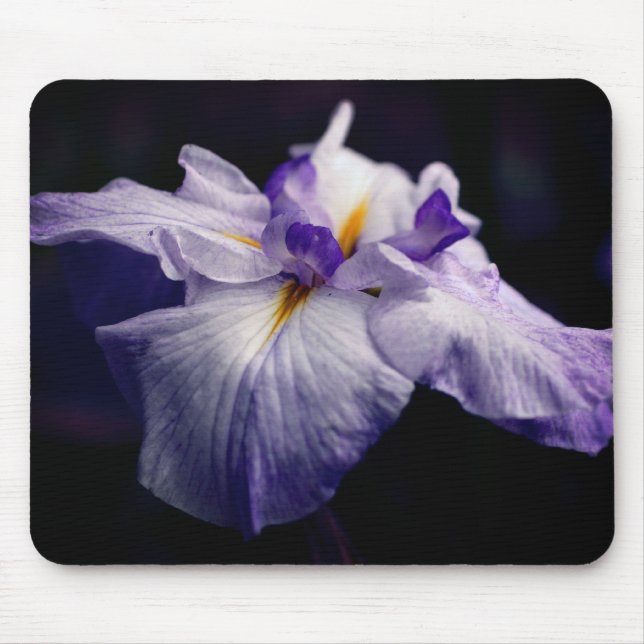 Japanese Iris Beauty Flower Mouse Pad (Front)