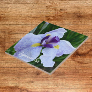 Japanese Iris Bloom Floral Ceramic Tile