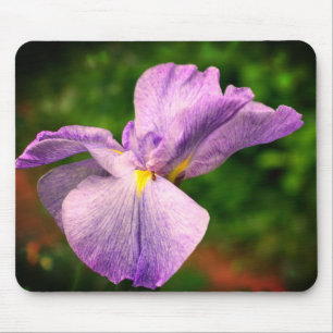 Japanese Iris Unfolding Flower Mouse Pad