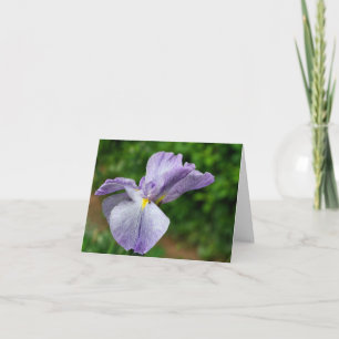 Japanese Iris Unfolding Flower Photography Note Card