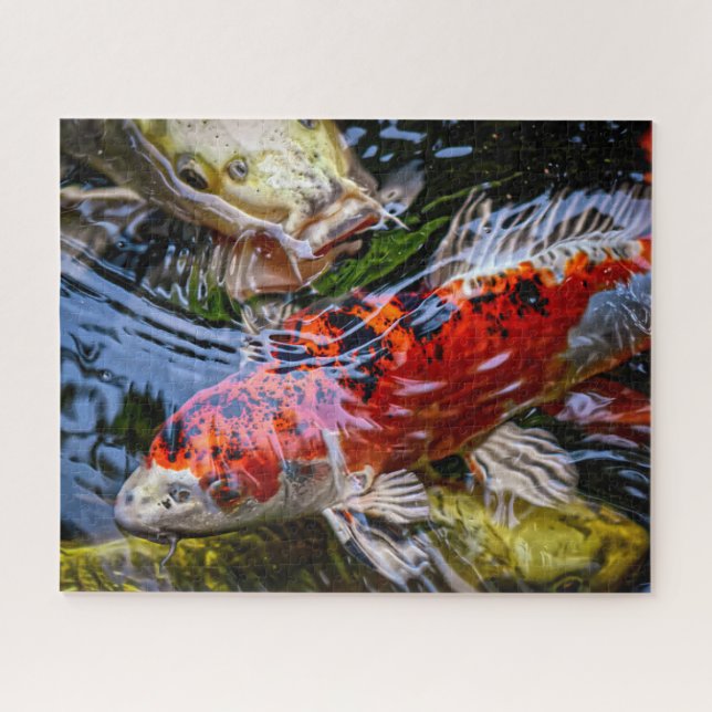 Japanese Koi Fish Pond Jigsaw Puzzle (Horizontal)