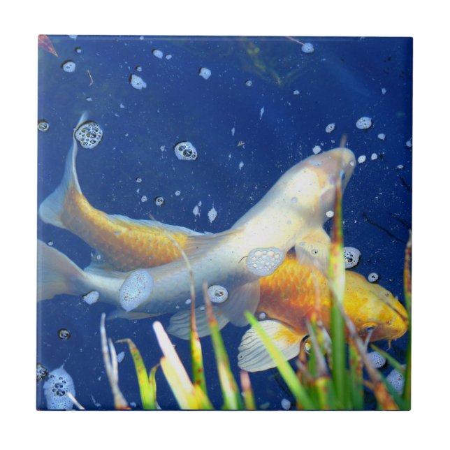 japanese koi pond tile (Front)