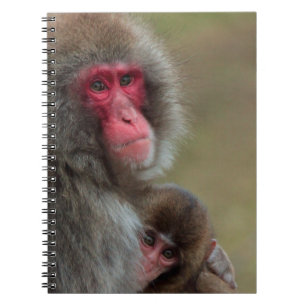 Japanese Macaque Monkeys Notebook