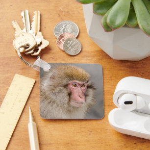 Japanese Macaque, Quiet Wildlife Moment Key Ring