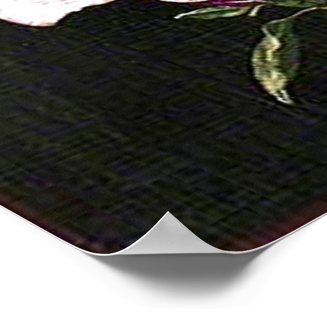 Japanese Magnolia Poster (Corner)