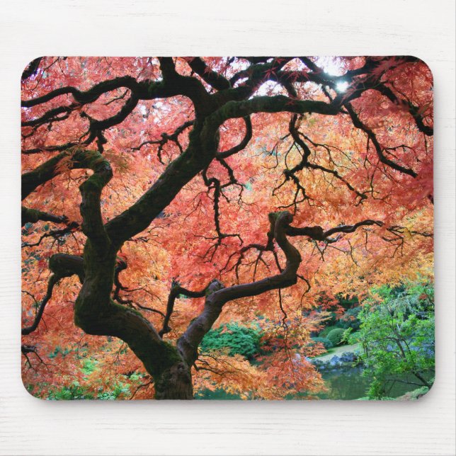 Japanese maple 1 mouse pad (Front)