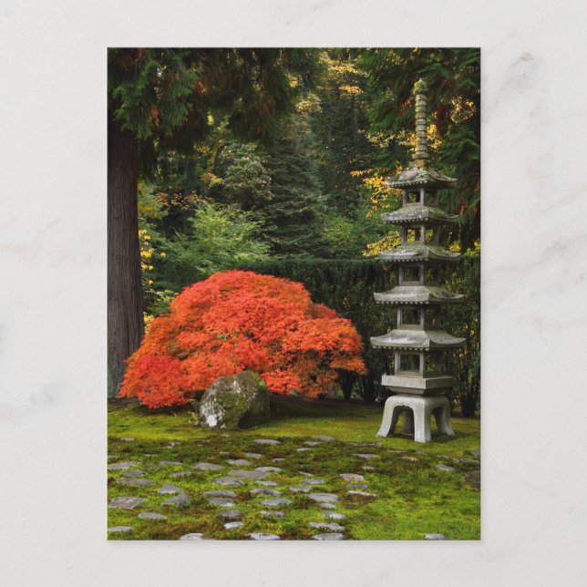 Japanese Maple and Pagoda in a Japanese Garden Postcard (Front)