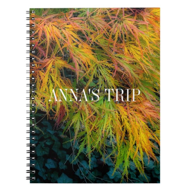 Japanese Maple Autumn Impressions Notebook (Front)