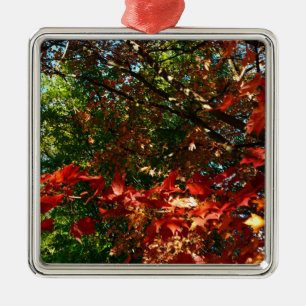 Japanese Maple, Autumn tree leaves Metal Ornament
