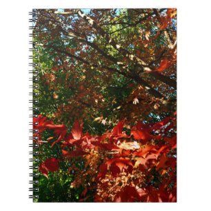 Japanese Maple, Autumn tree leaves Notebook