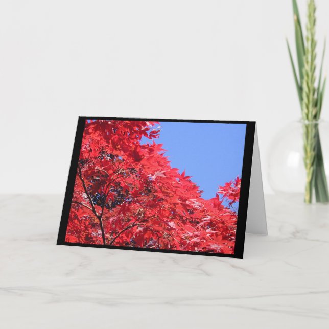 Japanese Maple Card (Front)