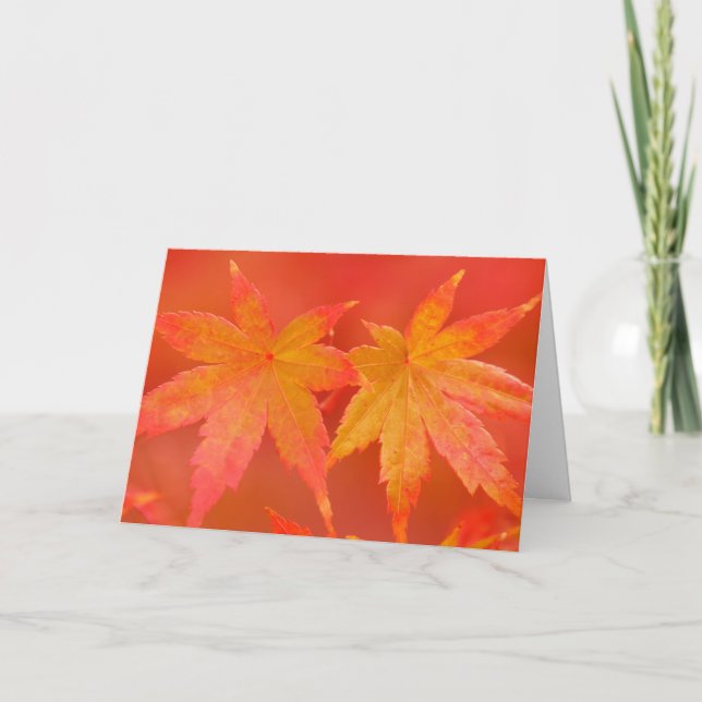 Japanese Maple Card (Front)
